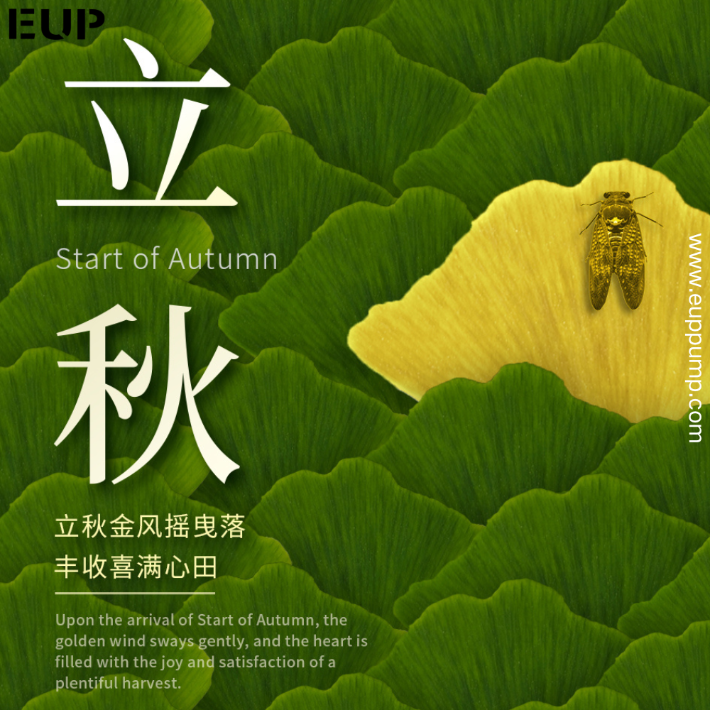 Welcome the Beginning of Autumn with 0414755007 EUP Pump  Specials